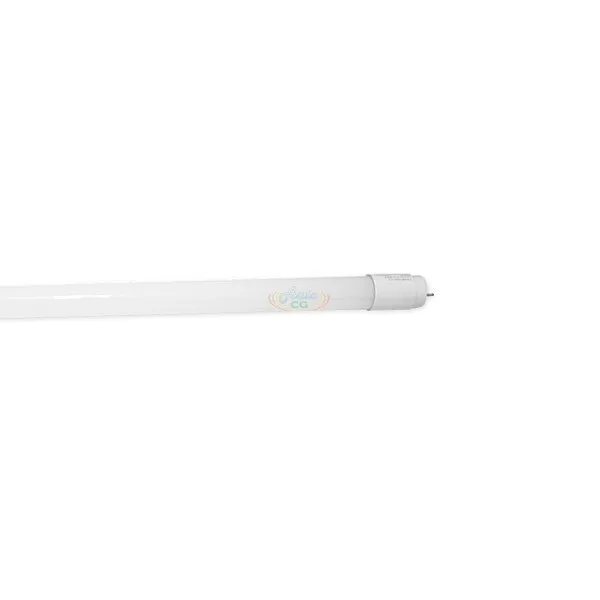 20W 4呎 T8 LED玻璃燈管，LED燈管